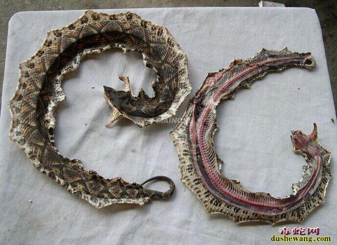 住宅犯空亡怎样化解