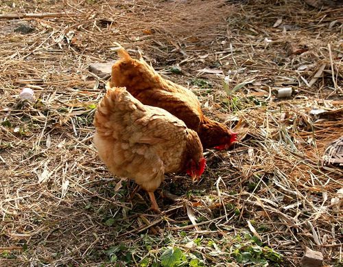 美容院起名字大全最新免费 美容行业起名佳字