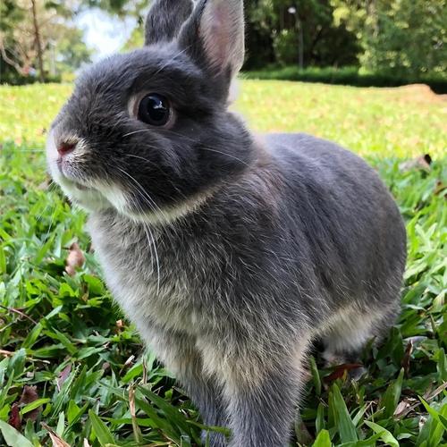 梁山车牌号码测吉凶能影响行车安全与未来发展真的值得我们深思吗 梁山车牌号码测吉凶能影响行车安全与未来发展真的值得我们深思吗