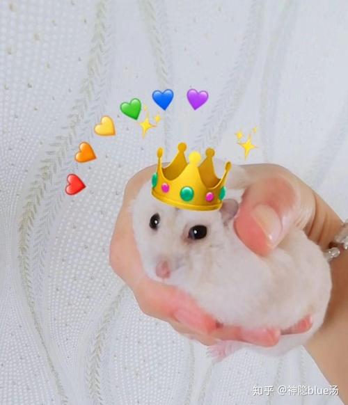 母亲节送妈妈什么礼物比较好 母亲节送妈妈什么礼物比较好