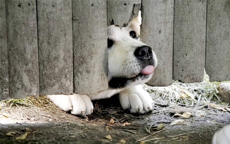 ﺥԴȫʺÿһ ǸȷӦָ 