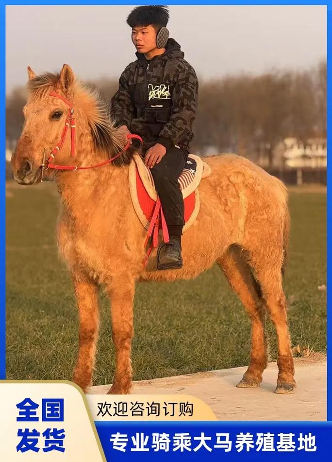 ������ǩ47ǩ��Ե_��ż��ͥ����_(������ǩ47ǩ��Ե_��ż��ͥ���������)