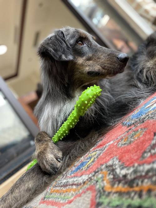 财神灵签46解签中配偶家庭关系不顺心(财神灵签46解签_配偶家庭关系和谐) 财神灵签46解签中配偶家庭关系不顺心(财神灵签46解签_配偶家庭关系和谐)