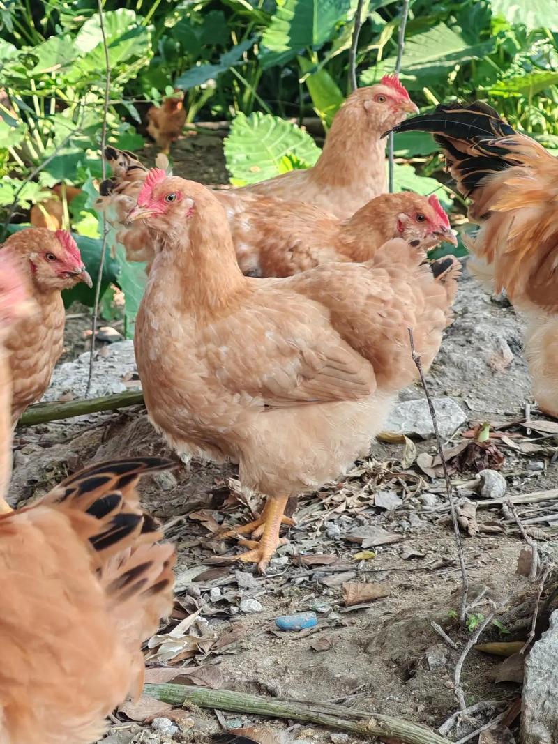姓蒋的男孩好听的名字推荐 蒋姓最霸气的男宝宝名字合集 姓蒋的男孩好听的名字推荐 蒋姓最霸气的男宝宝名字合集