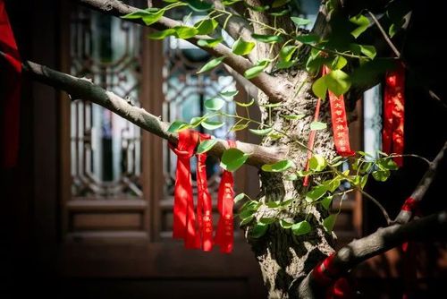 生辰八字查询表 怎样算生辰八字