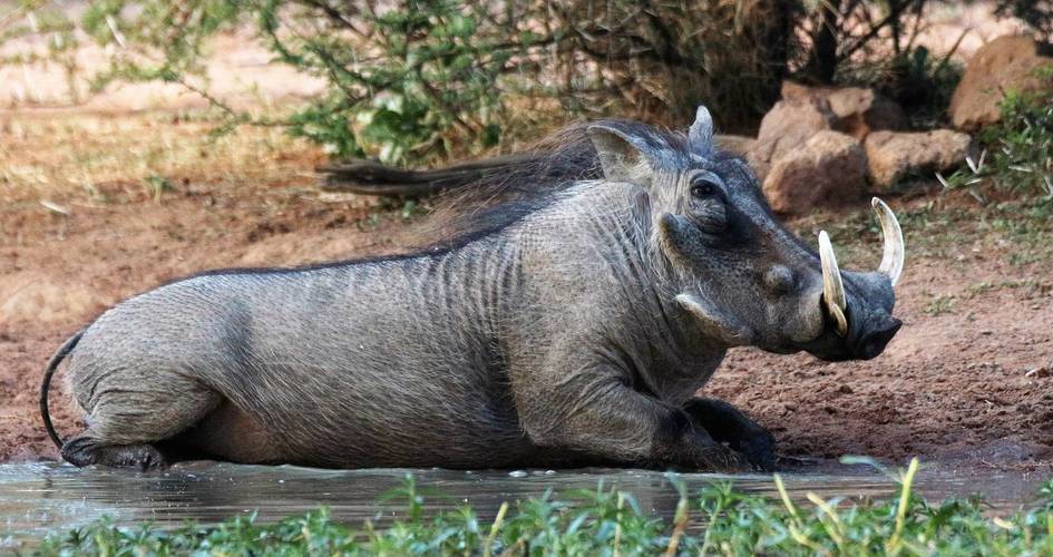 陈建州身高陈建州体重