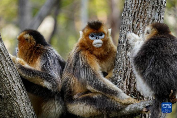 Ͱܷ罻־źѹ(Ͱܷ˷罻־ˮϵʲô)