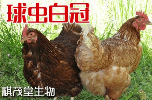 ��ţ���б��������� 7�·ݽ�ţ����ȡ��