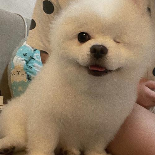 ӡ�Ⱥ��չ�˾�ͻ�������֤����8�˺���