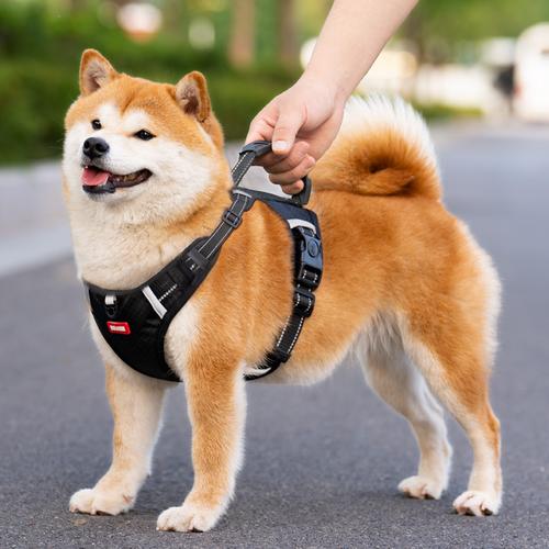 ˮĹ˾ѡ̳һǵ۲ܸ(ˮĹ˾̳һศ)