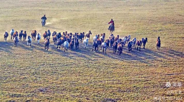 ǩʮǩǩ_ͨϰ(ǩʮǩǩܷͨ)