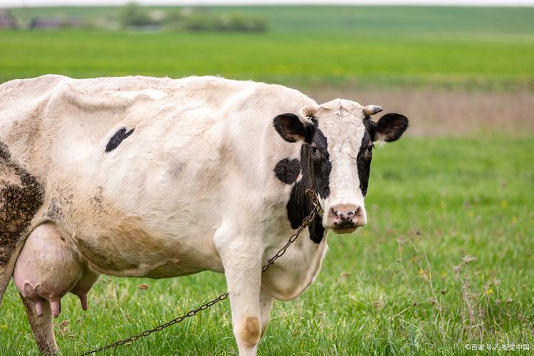 客厅家具摆放要注意什么 客厅家具摆放要注意什么