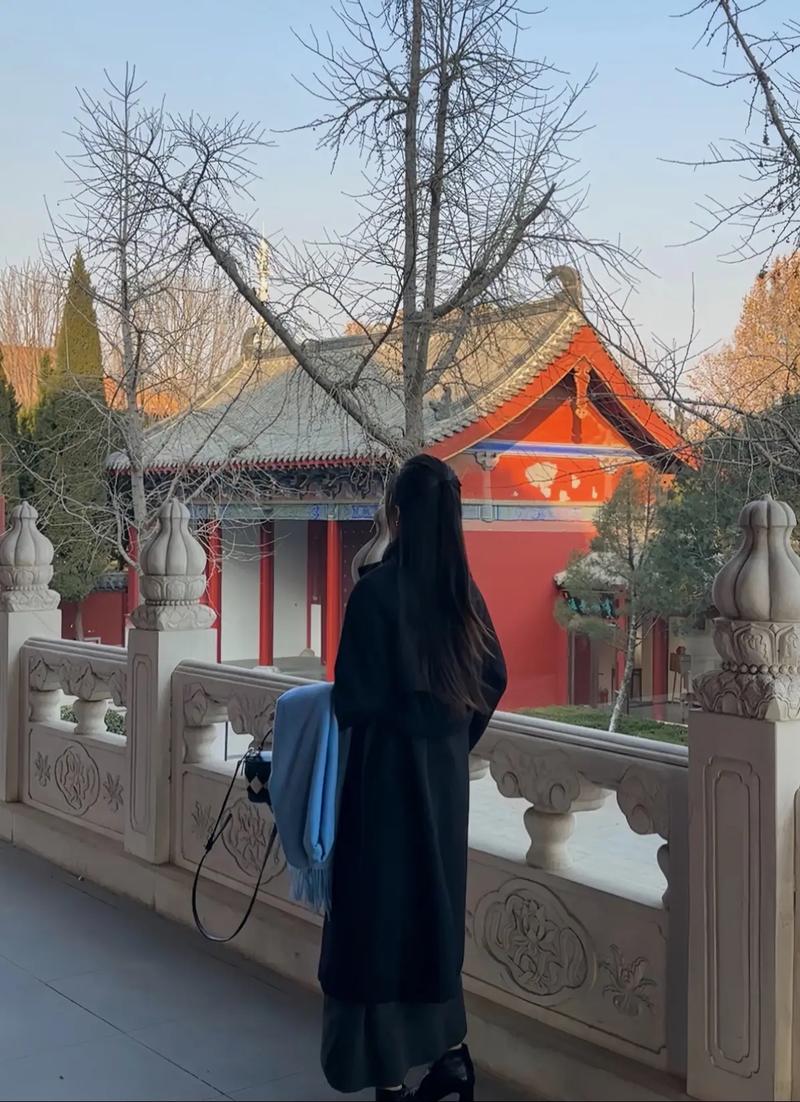 2026年猪年属兔运势 2026年生肖属兔的运程是什么意思 2026年猪年属兔运势 2026年生肖属兔的运程是什么意思