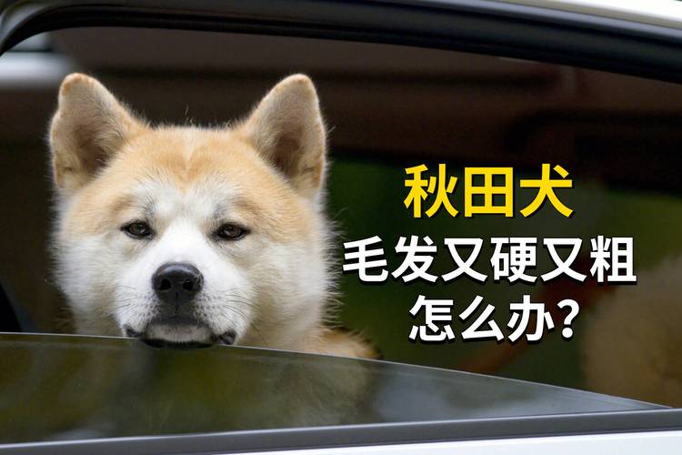 ������ѩ�����Ԥ���뷢 ɽ�����ϼ����򼽵ȵ��н�ǿ