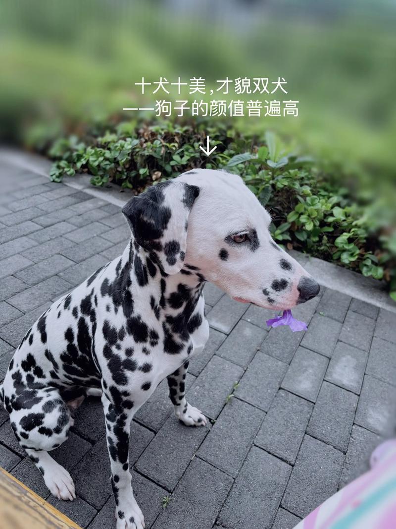 梦到男性朋友亲吻我 梦到很久不联系的异性 梦到男性朋友亲吻我 梦到很久不联系的异性