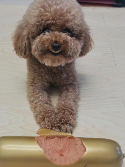 农历2025年十一月二十二出生的男孩怎么根据八字起名