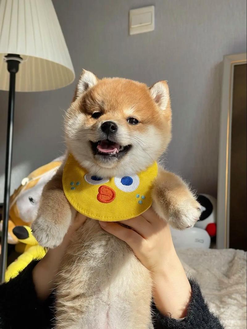 Ůǰɵı Ůǰ Ҳ ʲô