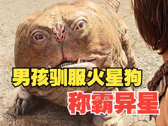 �������������������������վ����Щ  ��������������