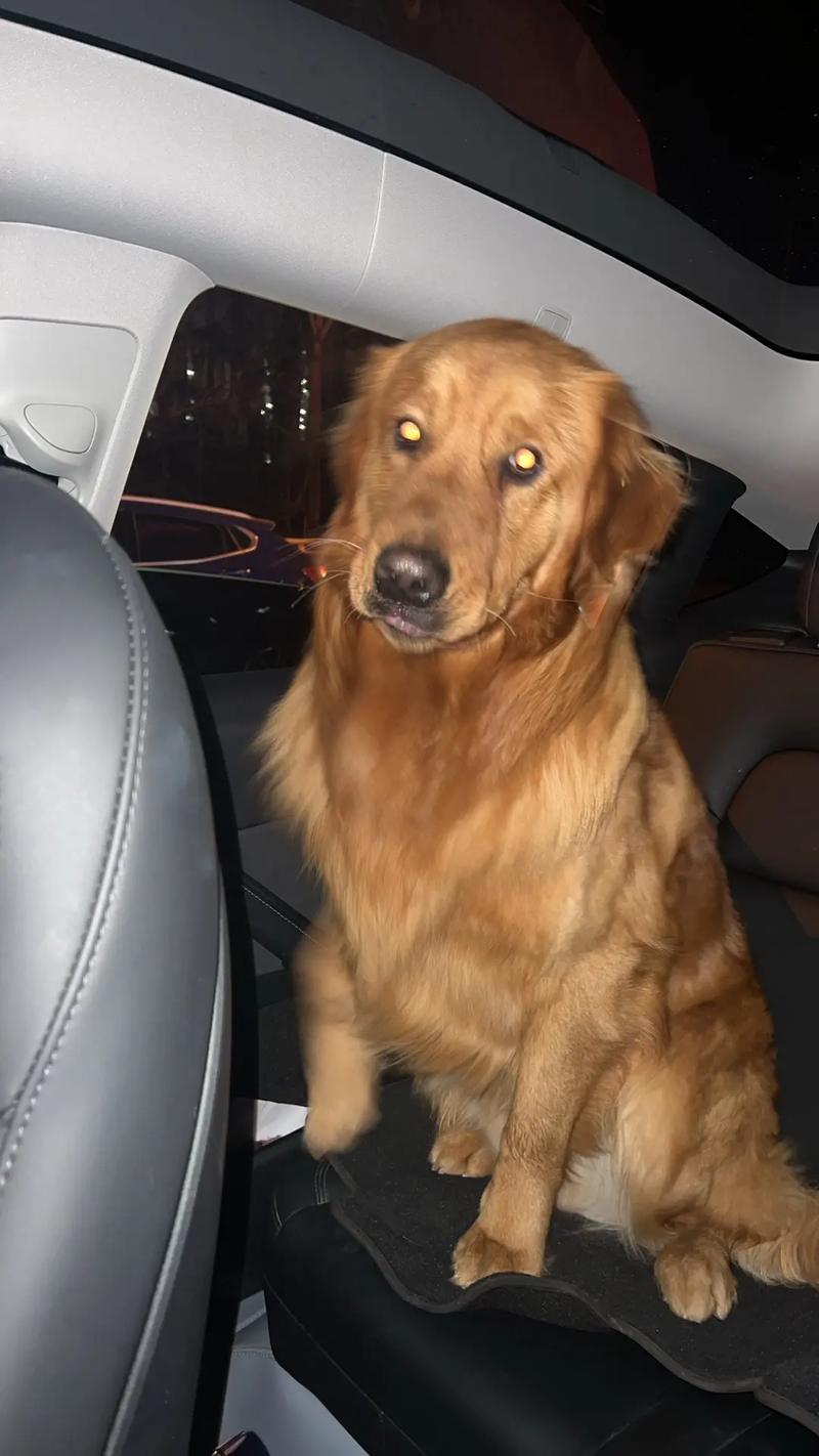 2025年11月18日农历十月十四出生的男孩名字怎么起最好