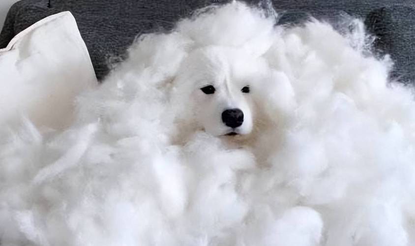 妈祖灵签第二十七签