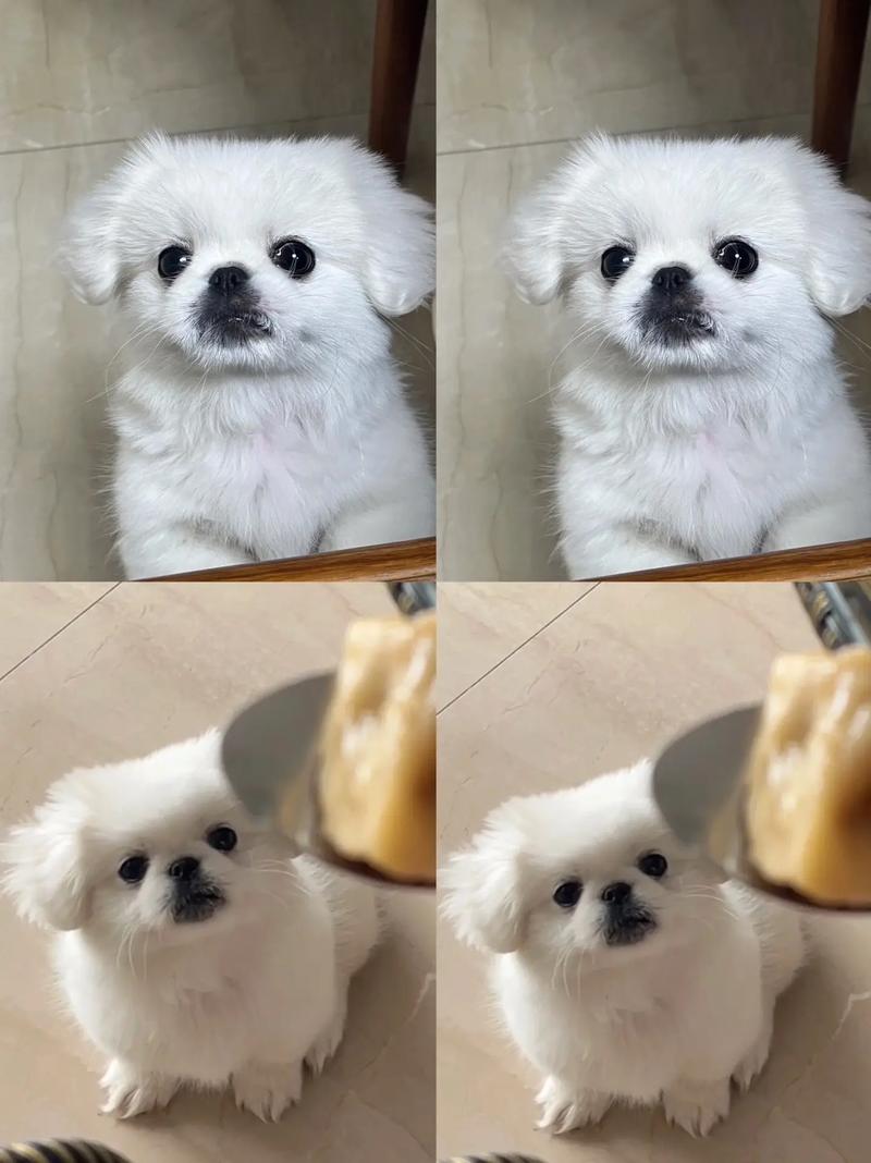 Ů���μ��߲�����ҧ��ʲô��˼