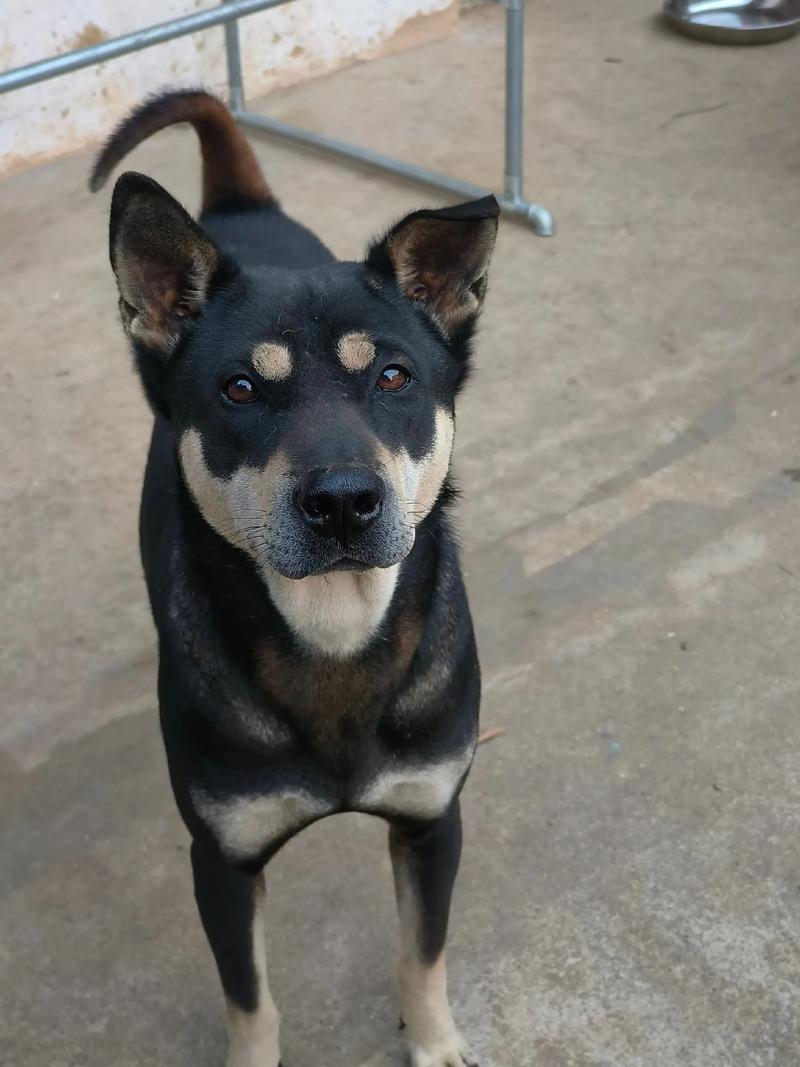 ���������Ĳ�֮ͬ�� ��Щ�ط���һ��