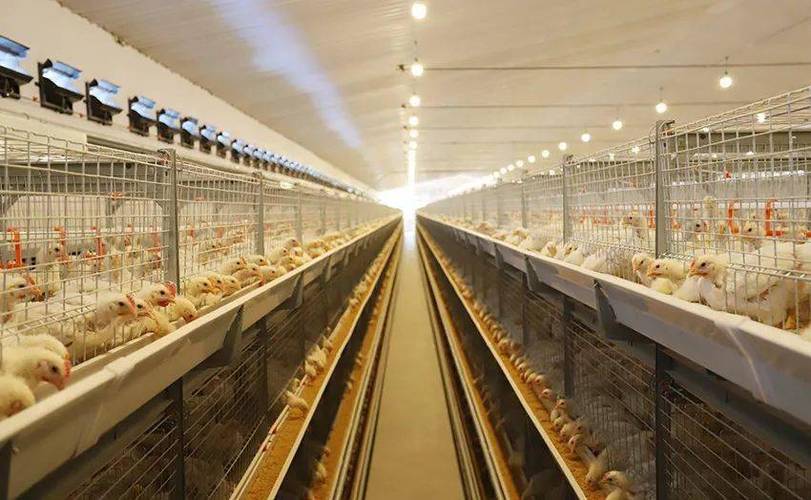 ͨ׾гƺ뼪˵ĳԱⲻҪĶ˺ͽ