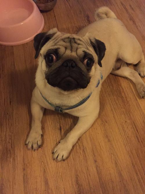 ʮ˭һҹ һҹ֮ʮ᳢ʲô