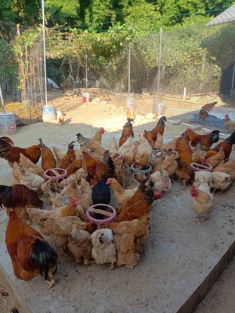 牛年宝宝起名字 孩子取名技巧分享 牛年宝宝起名字 孩子取名技巧分享