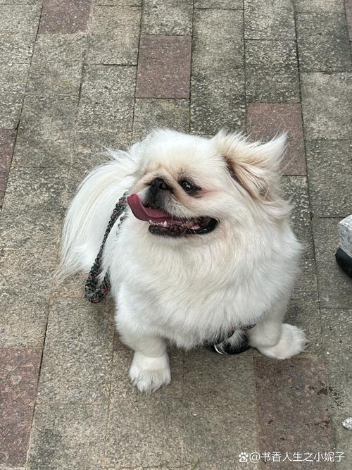 ԷװͼƬȫʱӦעЩϸȷгͳһ