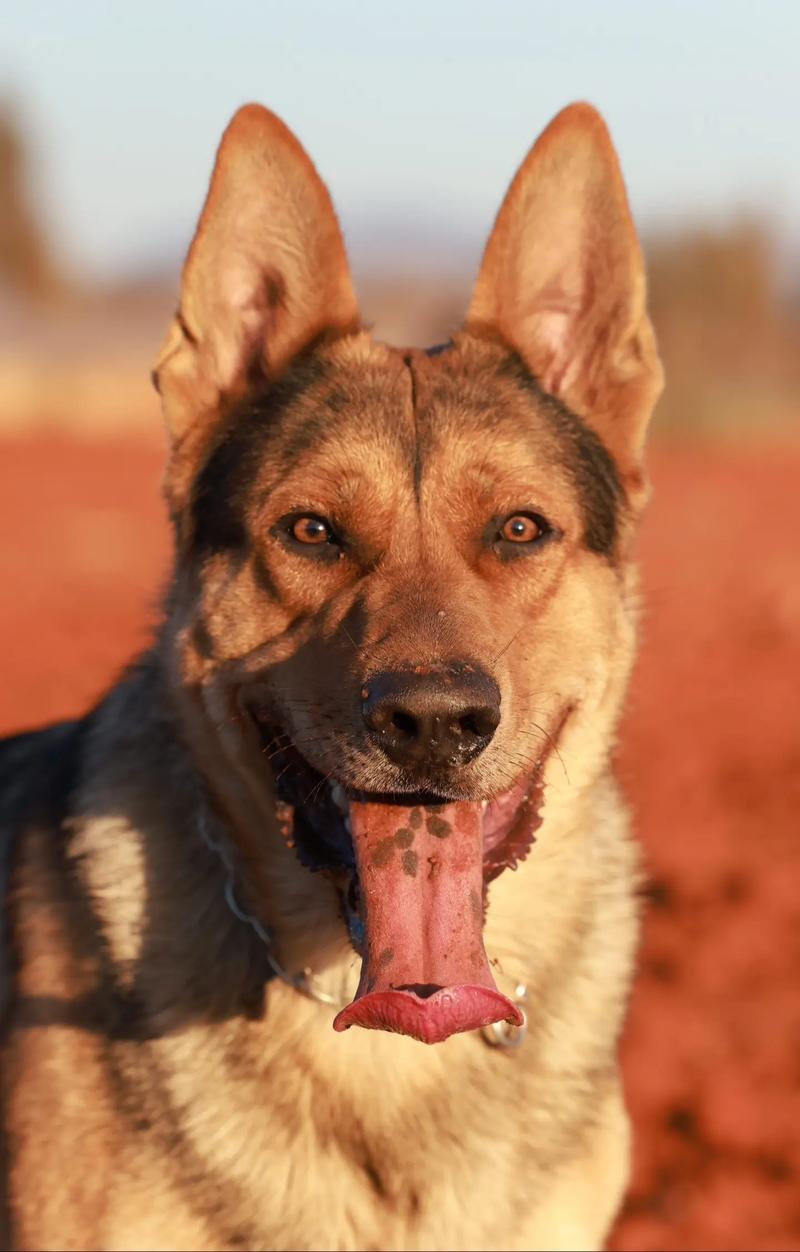 看儿女的手相 看手相说生女儿准吗 看儿女的手相 看手相说生女儿准吗