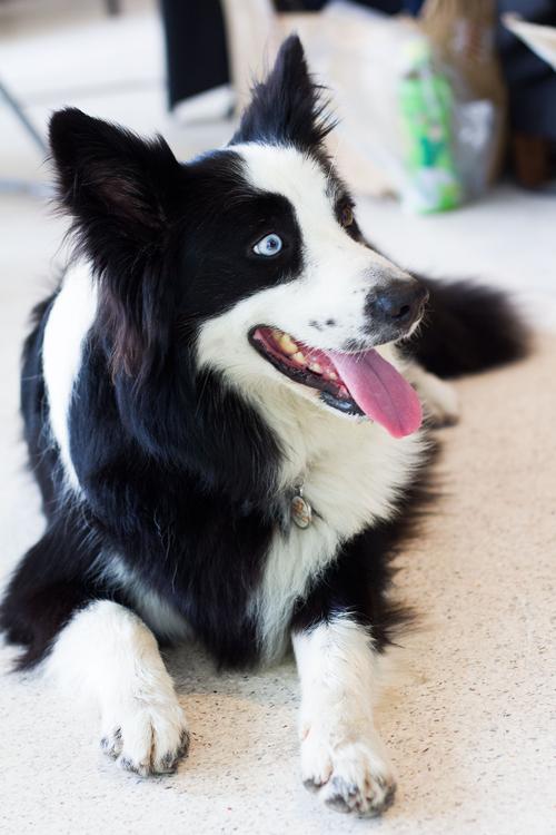 八字为啥显示命途多舛 用八字算命如此不妙 八字为啥显示命途多舛 用八字算命如此不妙