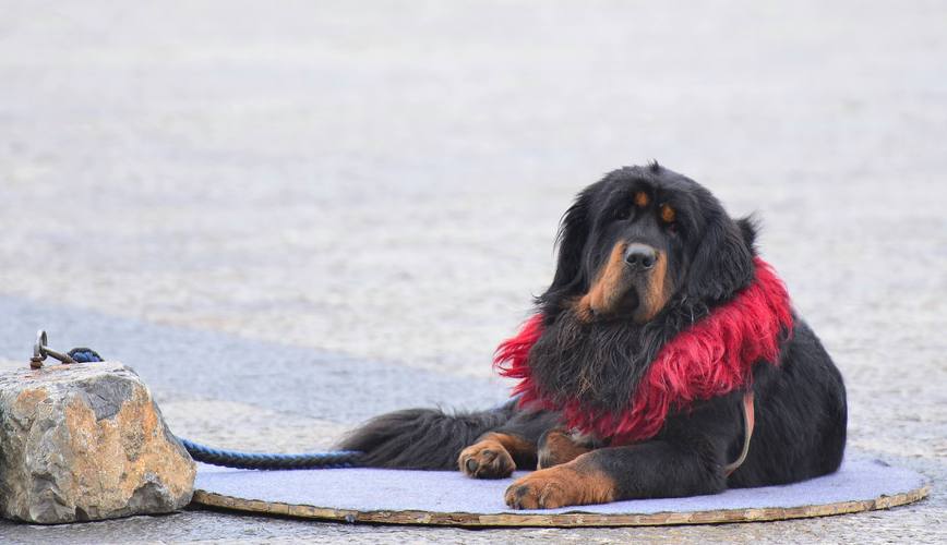 ������Ȫˮ��