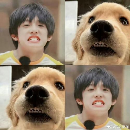 沙中土命什么意思好吗 沙中土是啥命 沙中土命什么意思好吗 沙中土是啥命