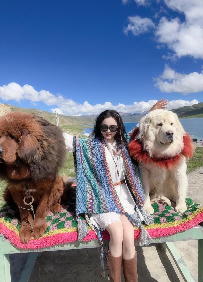 秦能同名同姓会影响客户关系的隐患是什么(秦能同名同