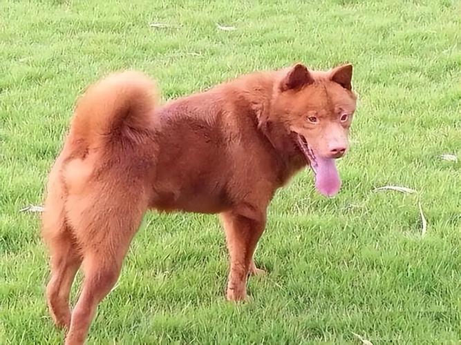 2025年属蛇人10月份感情运势 属蛇的人2025年十月感情运势 2025年属蛇人10月份感情运势 属蛇的人2025年十月感情运势