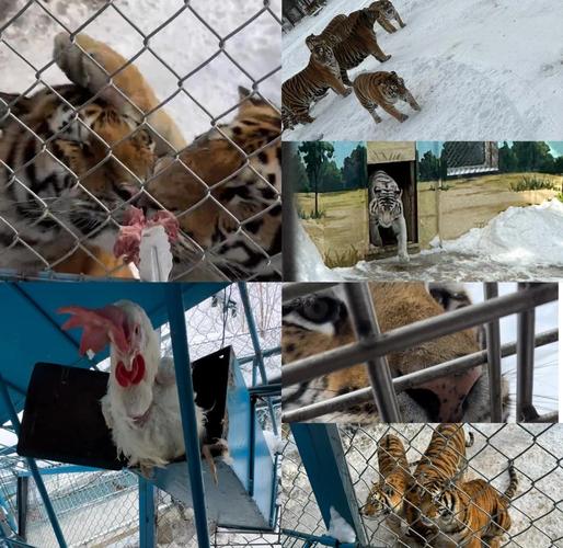 ������ǰ���к���