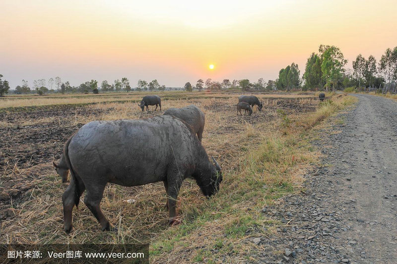 风水公司名字大全 顺风顺水的公司名称大全 风水公司名字大全 顺风顺水的公司名称大全