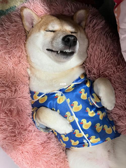 八字命理藏着哪些危机 揭开命运之书 批命课程为你未来危机 八字命理藏着哪些危机 揭开命运之书 批命课程为你未来危机