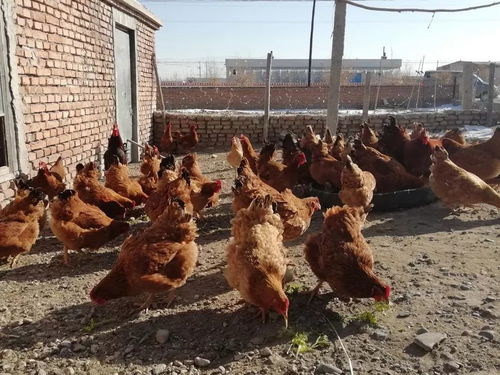 如何提升用户体验设计水平 如何提升用户体验设计水平