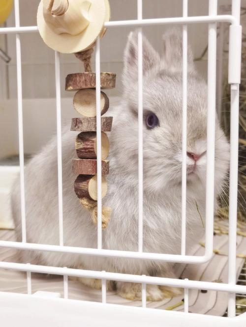 什么八字的人花心 什么八字的人花心