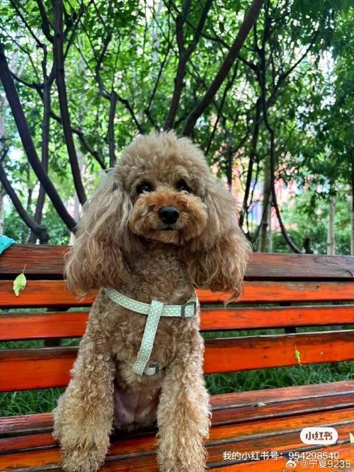 属牛的4月出生好不好 属牛的几月份出生最好