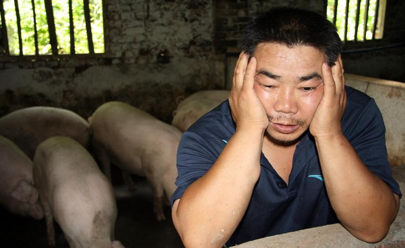 梦到别人送鸡爪子 梦见鸡爪是什么征兆 梦到别人送鸡爪子 梦见鸡爪是什么征兆