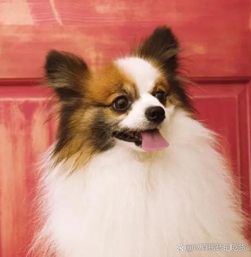 ����Σ���ڵ�����ǩ�ܷ񻯽��ǩ����������(��ǩ����