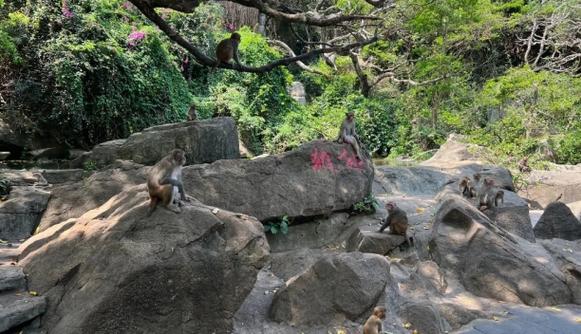 车牌照查吉凶查询软件真的能改变车辆运势吗我们应当对