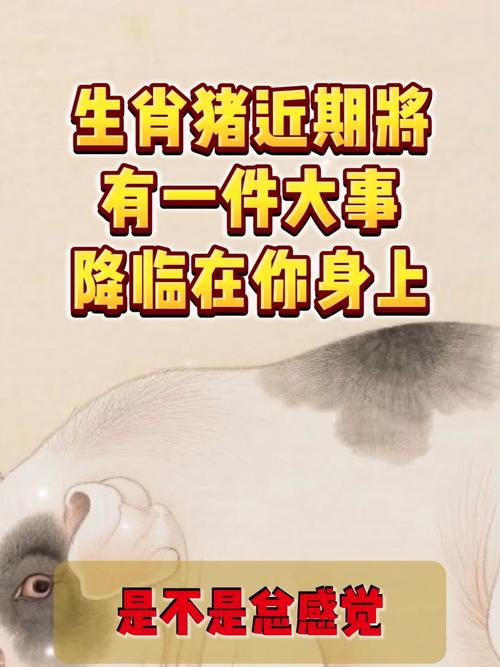 艾玛贝尔资料艾玛贝尔电影艾玛贝尔电视剧 艾玛贝尔资料艾玛贝尔电影艾玛贝尔电视剧
