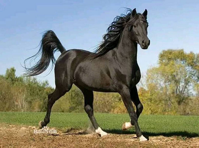 生日配对玩具图片大全大图真的能帮助我们找到最佳的玩具组合和快乐的生日体验呢 生日配对玩具图片大全大图真的能帮助我们找到最佳的玩具组合和快乐的生日体验呢