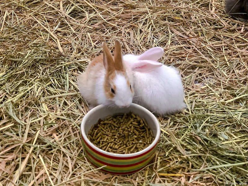 2ˮƿŮԸ ˮƿŮʲô