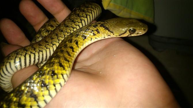 ���Կ����״�һ����ʾѧҵѹ���Ӵ�����(���Կ����״�