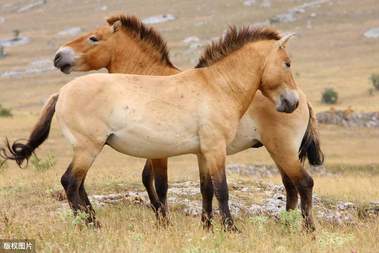 2025��4��16�ճ������Ů�������ּ��� Ů������������